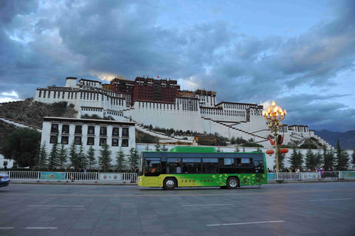 广西科技奖励产业化项目含金量持续攀升，三年吸金超5000亿元凸显技术服务体系价值